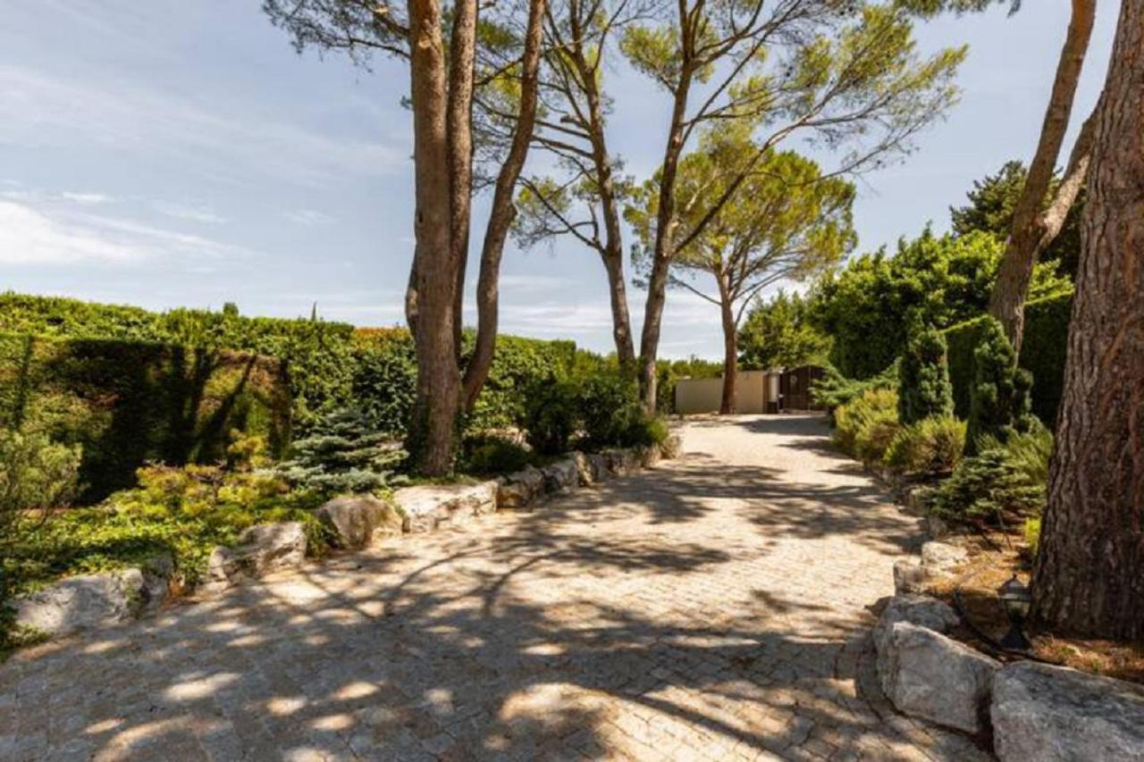 Ferienwohnung La Bastide De L Etang LʼIsle-sur-la-Sorgue Exterior foto