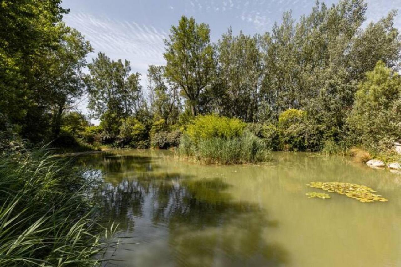 Ferienwohnung La Bastide De L Etang LʼIsle-sur-la-Sorgue Exterior foto